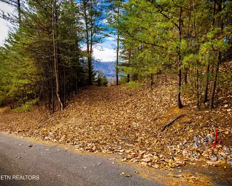 lot12 E Stackstone Rd, Sevierville, TN 37876 photo 15