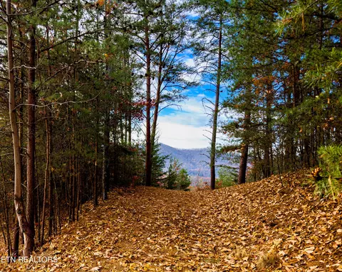 lot12 E Stackstone Rd, Sevierville, TN 37876 photo 16