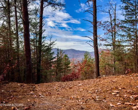 lot12 E Stackstone Rd, Sevierville, TN 37876 photo 19