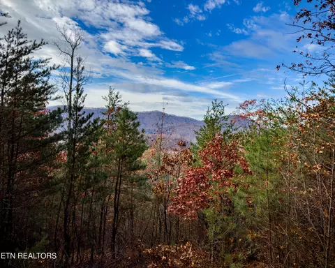 lot12 E Stackstone Rd, Sevierville, TN 37876 photo 17