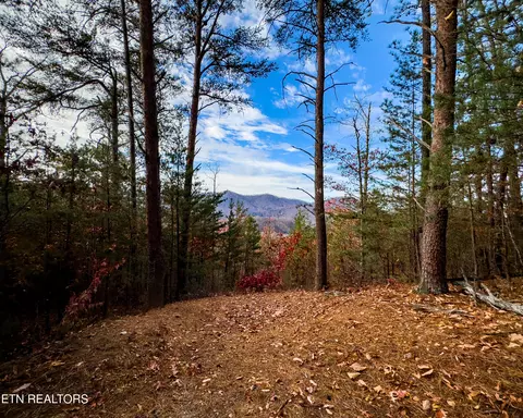 lot12 E Stackstone Rd, Sevierville, TN 37876 photo 20