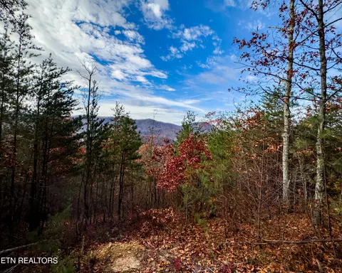 lot12 E Stackstone Rd, Sevierville, TN 37876 photo 18
