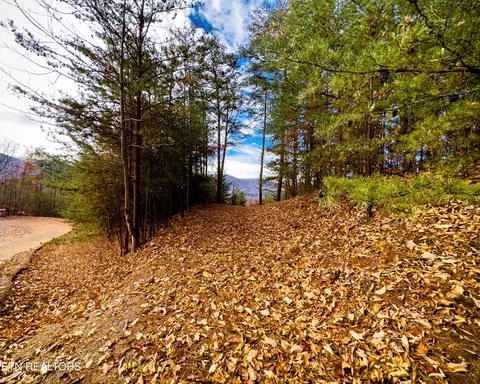 lot12 E Stackstone Rd, Sevierville, TN 37876 photo 14