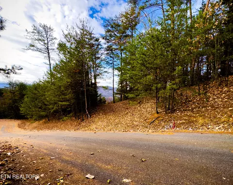 lot12 E Stackstone Rd, Sevierville, TN 37876 photo 13