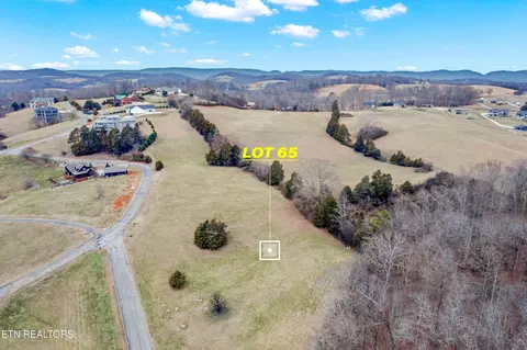 lot65 Cow Poke Ln, Rutledge, TN 37861