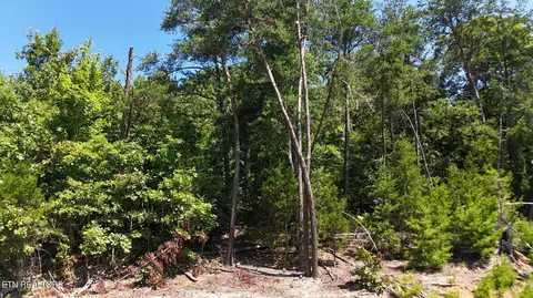 lot2 Flat Woods Rd, Dandridge, TN 37725