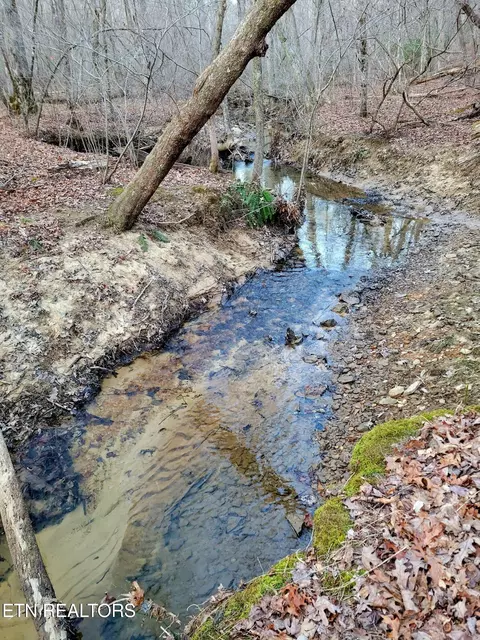 14 Creek Pl, Monterey, TN 38574