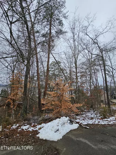 Kammann Cove, Baneberry, TN 37890