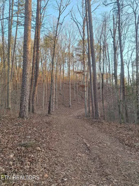 lot1 Mecca Pike, Tellico Plains, TN 37385