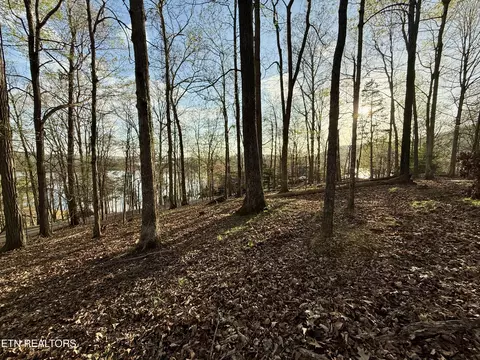 1522 Catoosa Dr, Mooresburg, TN 37811