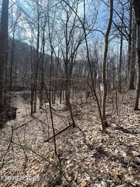 Bluff Mountain Rd, Sevierville, TN 37862