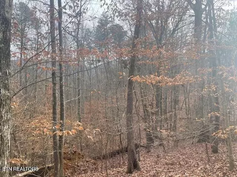 1008 Blair Loop Rd, Walland, TN 37886 photo 5