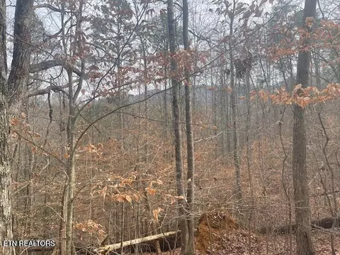 1008 Blair Loop Rd, Walland, TN 37886 photo 2