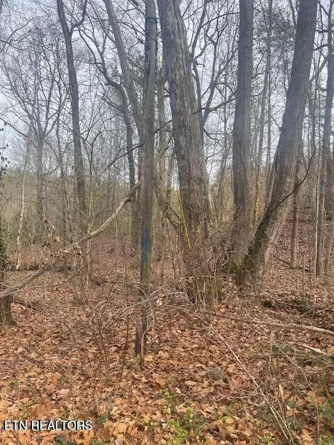 1008 Blair Loop Rd, Walland, TN 37886 photo 3
