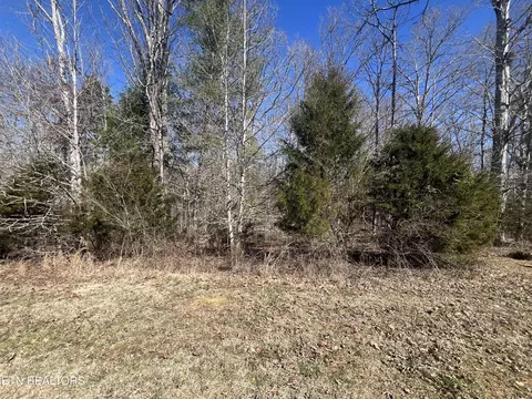 209 Appaloosa Tr, Rockwood, TN 37854