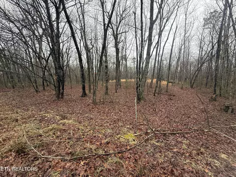 551 Cliff Park Rd, Monterey, TN 38574