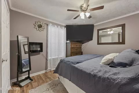 Bedroom - 1306 Tabitha Dr, White Pine, TN 37890 photo 3 of 3