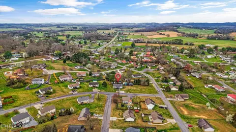 View/Area - 1306 Tabitha Dr, White Pine, TN 37890 photo 5 of 6
