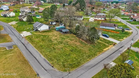 View/Area - 1306 Tabitha Dr, White Pine, TN 37890 photo 3 of 6