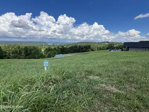 lot53 Cottonwood, Decatur, TN 37322
