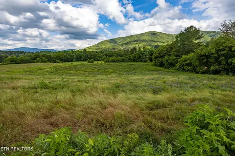 lot3 R2 Holders Grove Rd, Cosby, TN 37722