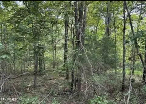 406 Wahoo Dr, Crossville, TN 38572