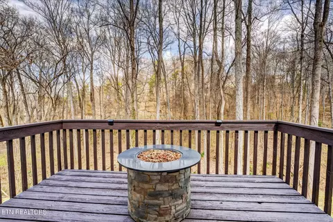 Exterior - 1050 Briar Ct, Talbott, TN 37877 photo 7 of 8