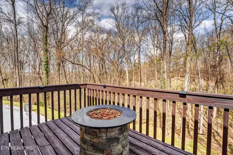 Exterior - 1050 Briar Ct, Talbott, TN 37877 photo 4 of 8