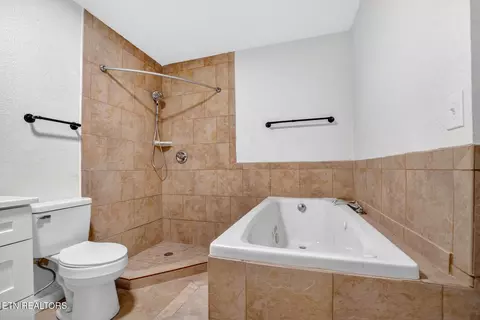 Bath - 1050 Briar Ct, Talbott, TN 37877 photo 8 of 9