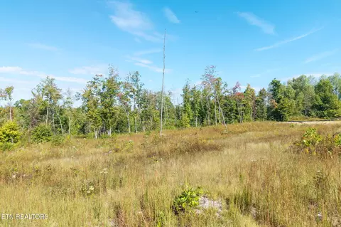 Flat Rock Rd, Jamestown, TN 38556