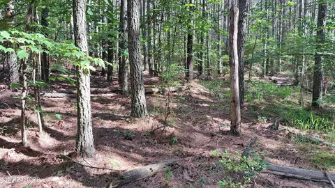 152 Sunset View Ln, Rockwood, TN 37854