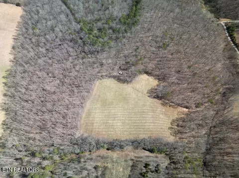 303 Tar Town Hollow Ln, La Follette, TN 37766