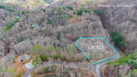 Long Rifle Rd, Sevierville, TN 37862