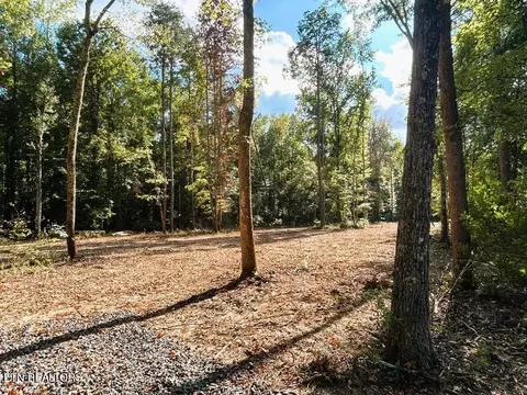Tract 3 Pleasant Hill, Ten Mile, TN 37880