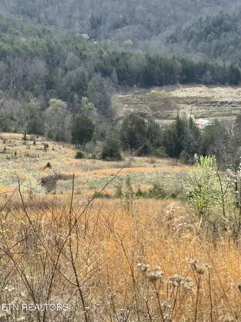 00 Cantwell Valley Rd, Sneedville, TN 37869