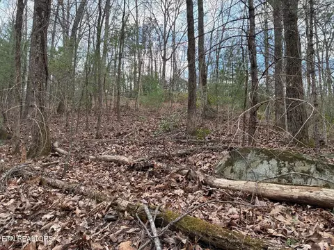 00 Chestnut Mountain Rd, Reliance, TN 37369