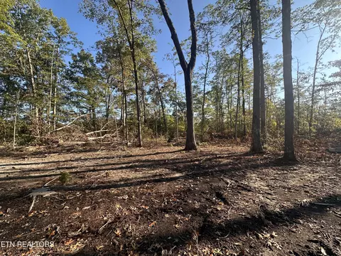 11 53 Ac Government Pond Rd, Jamestown, TN 38556