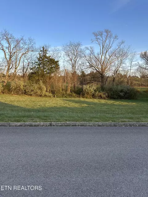 lot17 Danielle Ct, Harrogate, TN 37752