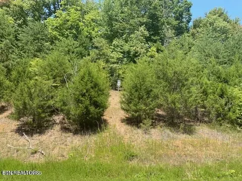 lot492 Citron Ln, New Tazewell, TN 37825