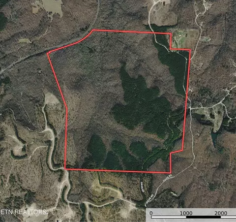 Davis Rd, Sunbright, TN 37872