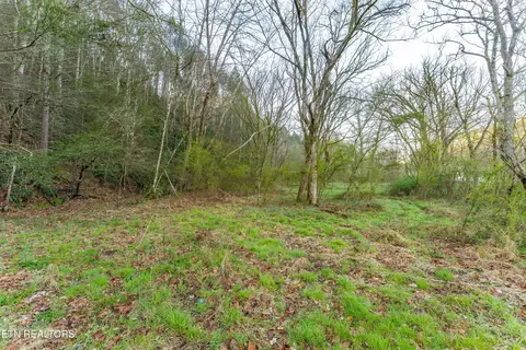 Bogard Rd, Cosby, TN 37722