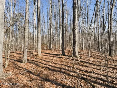 180 Hill Rd, Knoxville, TN 37938