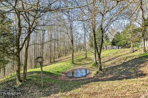 676 Sunny Point Rd, Baxter, TN 38544 photo 34