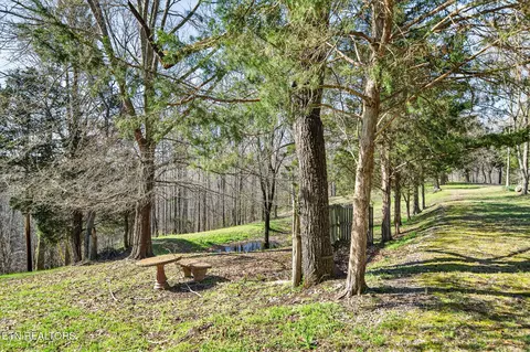 676 Sunny Point Rd, Baxter, TN 38544 photo 9