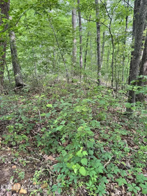 prettiest sunset way LOT 5, Seymour, TN 37865