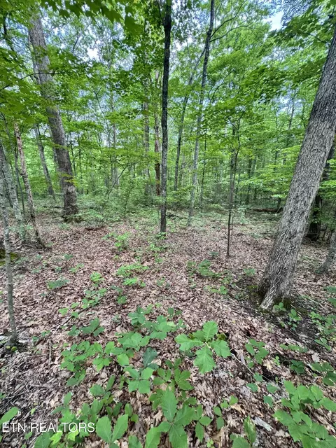 prettiest sunset way LOT 5, Seymour, TN 37865