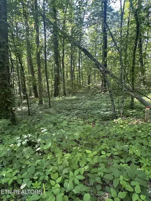 prettiest sunset way LOT 4, Seymour, TN 37865