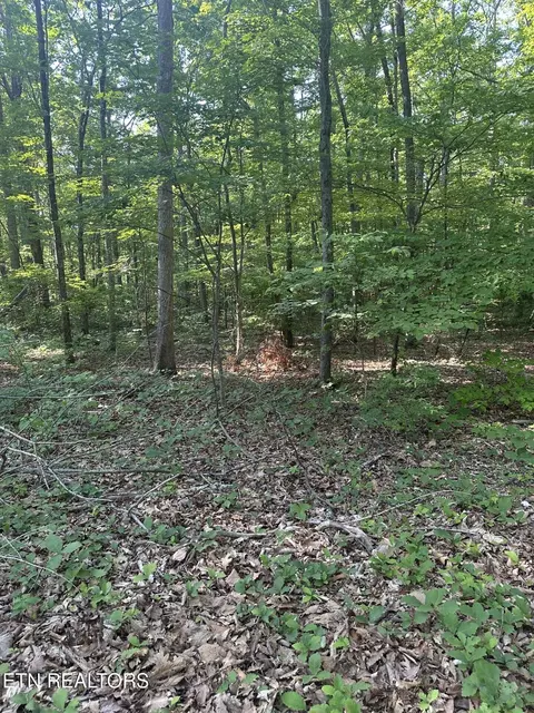 prettiest sunset way LOT 3, Seymour, TN 37865