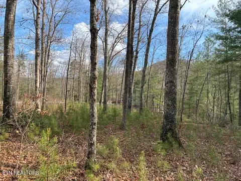 Mountain Ash Way, Sevierville, TN 37876