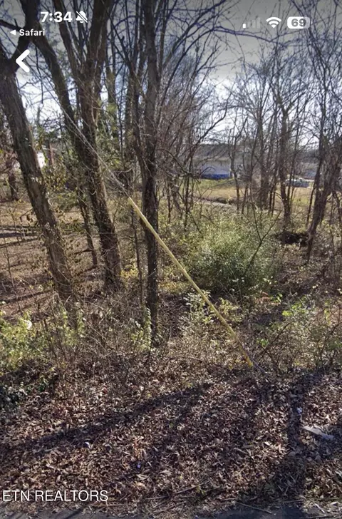 184 Chickamauga Ave, Knoxville, TN 37917